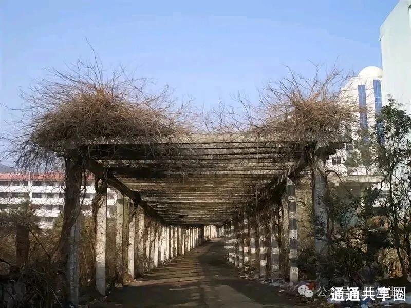 拆解随州职教大合并：当年为何重组，如今结果如何？