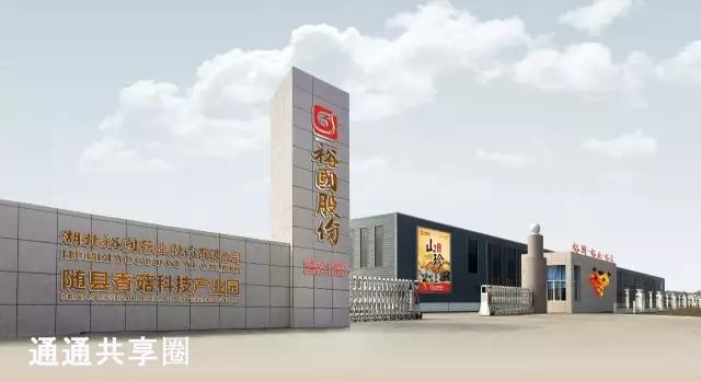 随州好几家企业离上市只差一步，为什么最后没能敲钟？